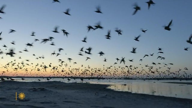 0330-sunmo-shore.jpg 