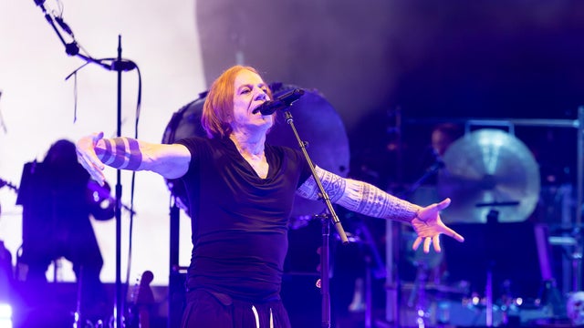 Danny Elfman performs at the Shoreline Amphitheatre 