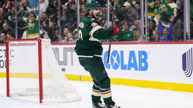 Ducks Wild Hockey 