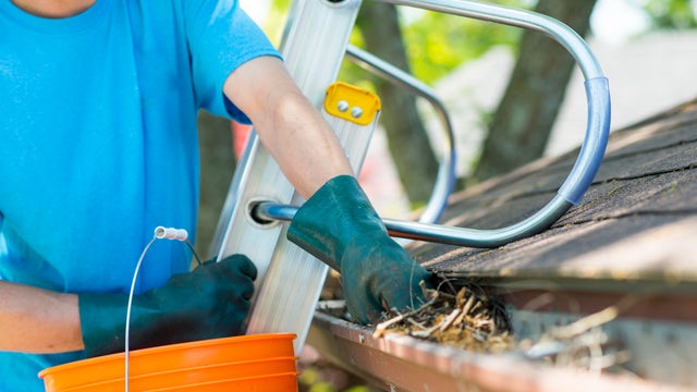 Maintaining the House Includes Eavestrough Cleaning 