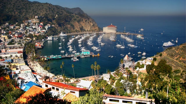 Avalon Midday 