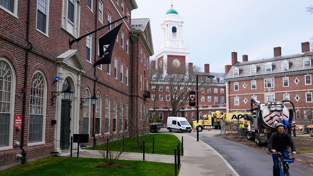 Harvard University 