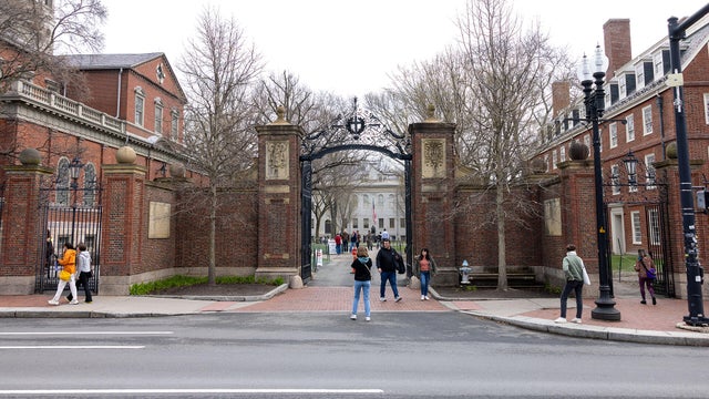 Harvard University 