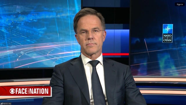 mark-rutte-more-serious-bug-lower.jpg 