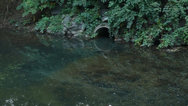 raw-sewage.jpg 