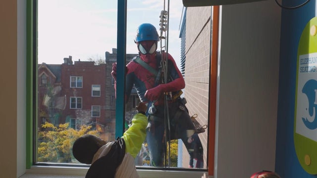 spiderman-window-washer.jpg 
