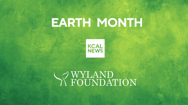 wyland-foundation.jpg 