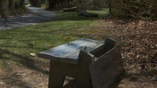 pack-bench.png 